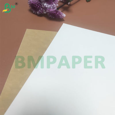 135-350 GSM 고직성 식품 용기 종이 롤
