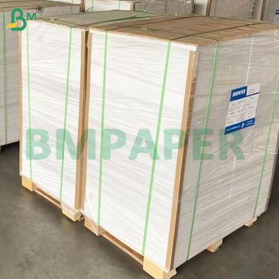 135-350 GSM 고직성 식품 용기 종이 롤