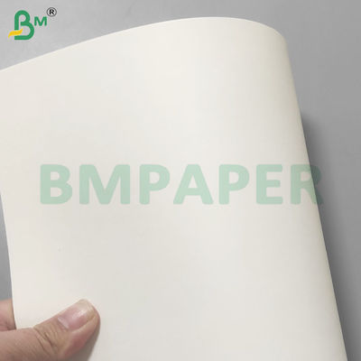 PE 코팅 누출 방지 컵 주식 종이 롤 음료용 190gsm+10gsm
