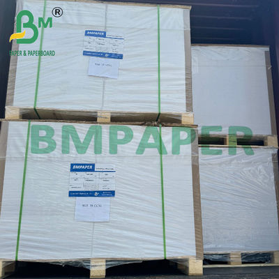 200g Bowl Base Paper 100% Virgin Wood Pulp 단면 PE 코팅 판