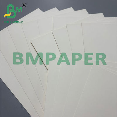 200g Bowl Base Paper 100% Virgin Wood Pulp 단면 PE 코팅 판