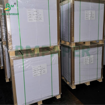 250gm 12pt C2S 광택 커버 페이퍼 백색 인쇄판 88×66cm 70x100cm