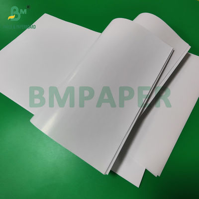 80gm 120gm C1S 화려한 코팅 아트 페이퍼 라벨 좋은 인쇄력 70 x 100cm
