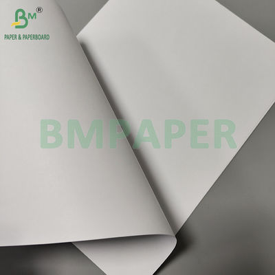 60gm 80gm 고백성 부착되지 않은 목재 없는 종이 다양한 책 만들기