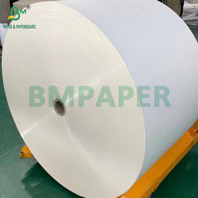 240gm + 18g PE 코팅 된 컵 스톡 페이퍼 트레이 매트 650mm 방수