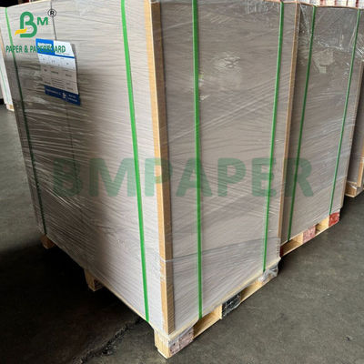 450gm 400gm C1S 회색 뒷면 22&quot; x 24&quot; 잎