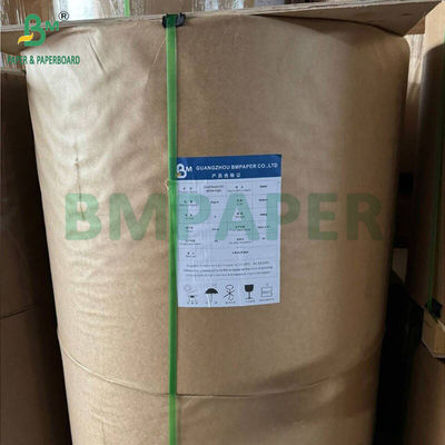 48g 55g BPA 무료 열용 종이 덤보 롤 프리미엄 POS 캐시어 영수증