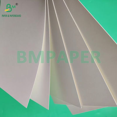 210gm 230gm 15g PE 매트 코팅 흰색 컵 종이 커피 컵 제조