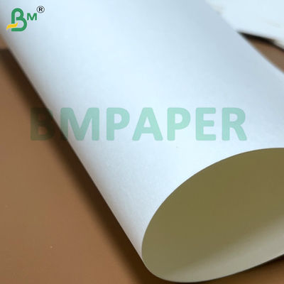 식품급 누들레 컵 종이판 700mm x 1000mm 200g + 20g PE 코팅