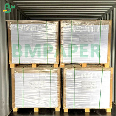 식품급 누들레 컵 종이판 700mm x 1000mm 200g + 20g PE 코팅