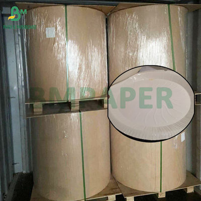 230g - 300g 식품 등급 PET 트레이 라이너 롤
