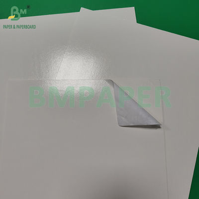 300gm+15gm 광택있는 PE 코팅 식품 등급 흰색 종이판 포장 냉동 제품
