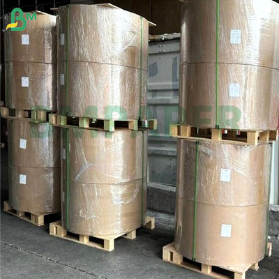 PET 지방 방지 방수 백색 한쪽 코팅 종이판 200gsm 300gsm 400gsm 마이크로 웨이브 식용 상자