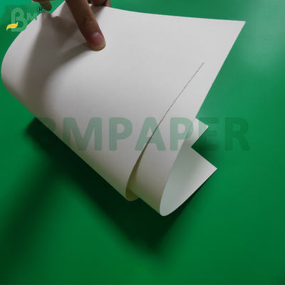 190gsm + 15g PE 코팅 컵 종이 롤 (수프 상자용) 865mm 940mm 방수