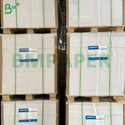 250+15 Gsm 단면 PE 코팅 누수 방지 컵 바닥 종이 시트