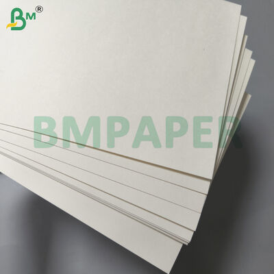 식품 용기 및 접시 전문 종이 / 플레이트 종이, PET 코팅