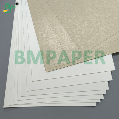 식품 용기 및 접시 전문 종이 / 플레이트 종이, PET 코팅