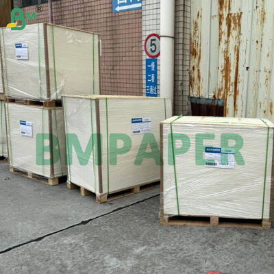 식품 용기 및 접시 전문 종이 / 플레이트 종이, PET 코팅