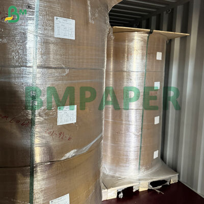 식품 용기 및 접시 전문 종이 / 플레이트 종이, PET 코팅