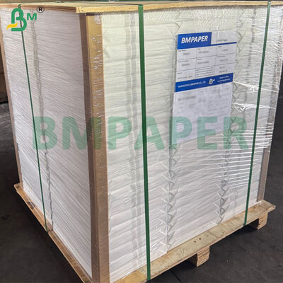 화가 그림용 100% 면 거친 질감 수채화 용지 300gsm 70cm X 50cm 크기