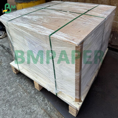 식품 등급 베이킹용 파치먼트 레이스 도일리 페이퍼 50gsm, 머핀 종이컵용