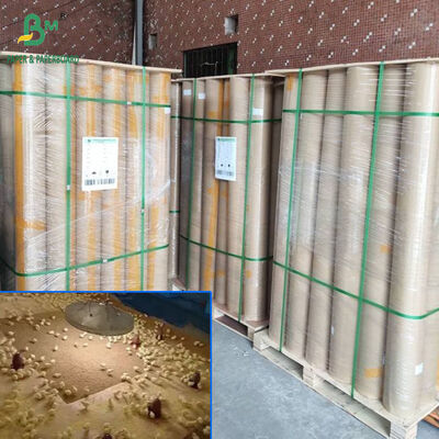 34인치 36인치 폭의 40gsm ~ 110gsm 갈색 흡수성 가금류 병아리 종이