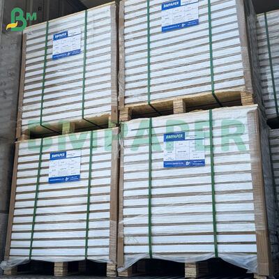 210gm 두 면 화려한 C2S 예술 인쇄 종이 롤 31 * 43 인치