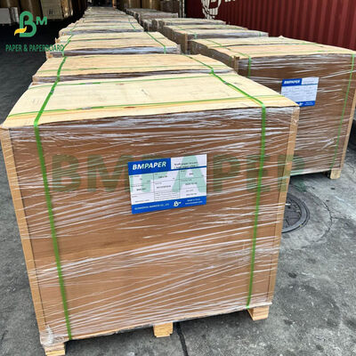 40gsm 기름 방지 양피지 에어프라이어 종이 트레이 종이 라이너 8.5 x 11인치