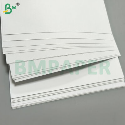 100파운드 270gm 흰색 무장 부드러운 브리스톨 보드 22 "x 30"