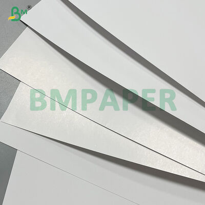 250g 300gm 고백성 SBS 보드 담배 케이스 시트 720 X 1020mm