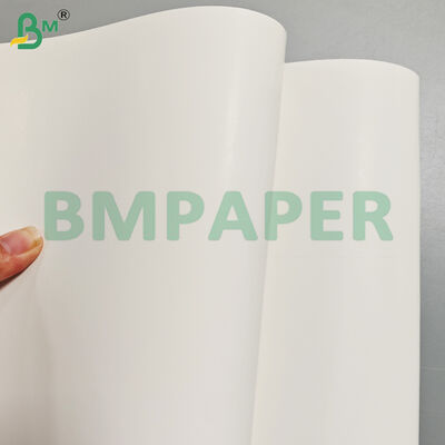 포장용 350gsm 편면 코팅 및 유광 백색 카드보드