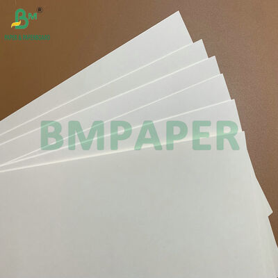 고량 C1S 코팅 275gsm 325gsm 백색 카드보드 일회용 접시 및 음식 트레이용 식품 접촉 종이