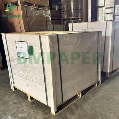 300gsm 400gsm 백색 카드보드 539mm X 517mm 칫솔 블리스터 포장용
