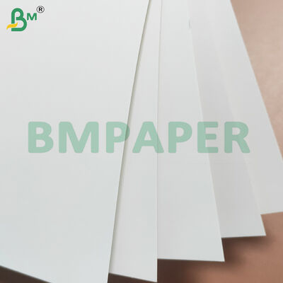 280gsm+10gsm PE 코팅 식품용 카드보드