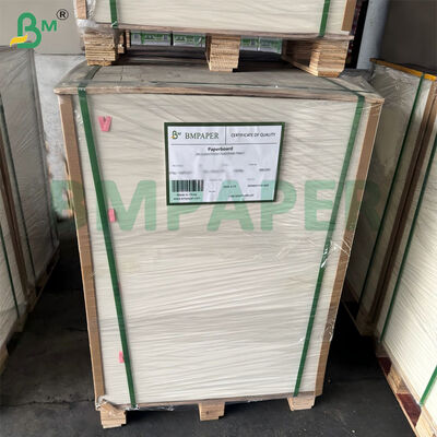 300gm 비옥한 사탕수수 바가세 펄스 종이 시트 생분해성 인증 787mm X 1092mm