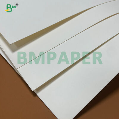 20/24g PE Laminated Food Paper High Folding Resistance Noodle Cup Raw Paper 
