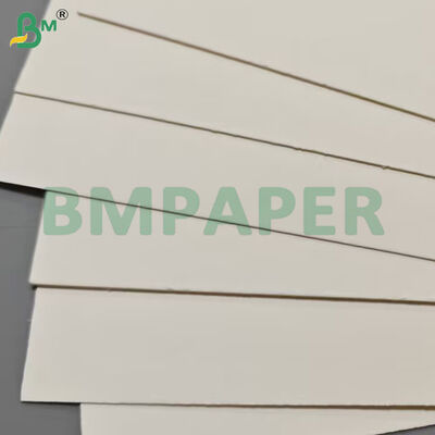 식품 등급 식품 용기 종이 시트 190gsm + PE 코팅