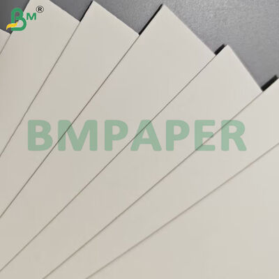 식품 등급 식품 용기 종이 시트 190gsm + PE 코팅