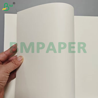 식품 등급 식품 용기 종이 시트 190gsm + PE 코팅