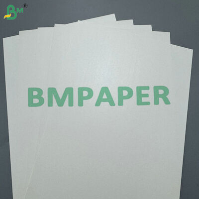 170-400gsm PLA 코팅 된 컵 스톡 종이 핫 & 콜드 음료 컵을위한 콤포스타블 카드보드