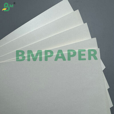 170-400gsm PLA 코팅 된 컵 스톡 종이 핫 & 콜드 음료 컵을위한 콤포스타블 카드보드