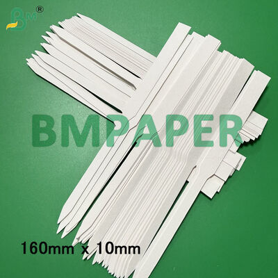 White Fragrance Test Paper Strips, Absorbent Board 160mm X 10mm 170mm X 9mm