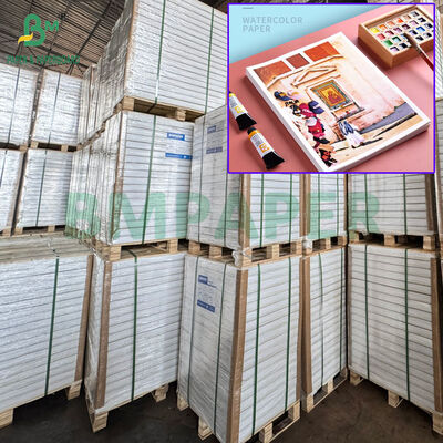 100% 목재 펄프 300그램 화물용 종이 22x30인치