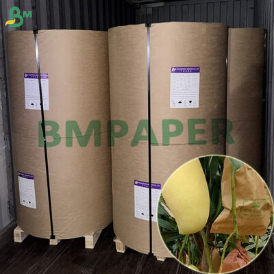이중층 방수 56gm 과일 보호 포장용 종이 마구 450mm